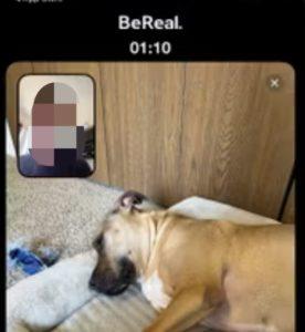 BeReal'da Bir Gönderi Nasıl Silinir ?