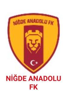 Niğde Spor - Bergama Spor maçı ne zaman, saat kaçta, hangi kanalda? 