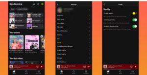 Spotify'ın 'Özel Oturum' Özelliği Nedir? Nasıl Kullanılır?
