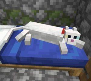 Minecraft'ta Kedi nasıl beslenir 