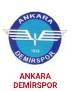Fethiye Spor - Ankara Demir Spor maçı