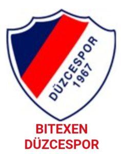 Arnavutköy Belediye Spor - Düzce Spor maçı