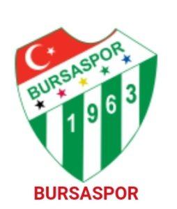 Bayburt Özel İdare Spor - Bursa Spor maçı hakkında bilgiler 