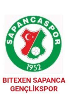 Malatya Arguvan Spor - Sapanca Gençlik Spor maçı