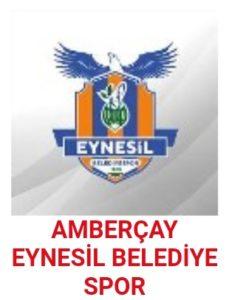 Manisa - Eynesil Spor maçı