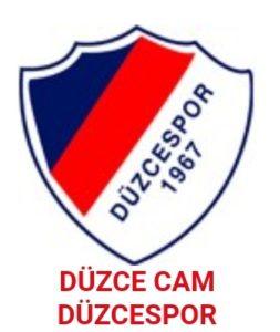 Soma Spor - Düzce Spor maçı bilgileri