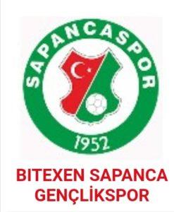 Altınordu Spor - Sapanca Gençlik Spor maçı hangi kanalda yayınlanacak