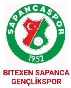 Erbaa Spor - Sapanca Gençlik Spor maçı hangi kanalda yayınlanacak