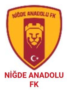 Niğde Spor - Büyükçekmece Tepecik Spor maçı hangi kanalda 
