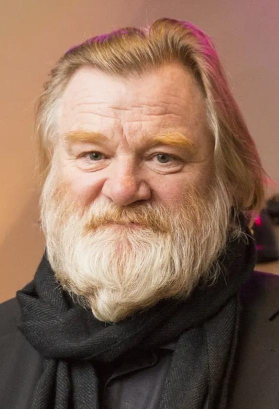 Brendan Gleeson Kimdir? Hayatı Ve Biyografisi 