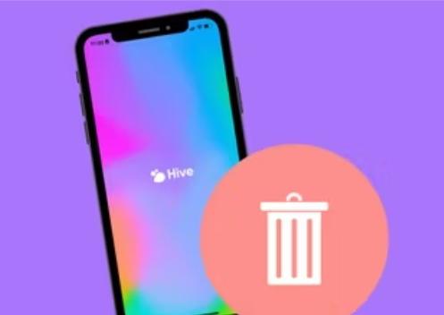 Hive Sosyal Hesabı Nasıl Silinir?