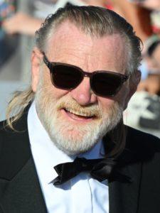 Brendan Gleeson Kim 