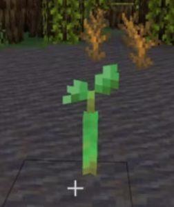 Minecraft'ta Mangrov Propagülleri Nasıl Elde Edilir ?