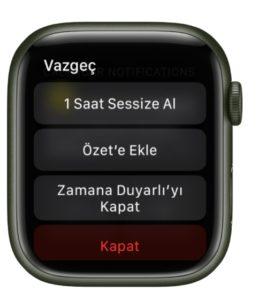 Apple Watch WhatsApp bildirimi nasıl açılır?