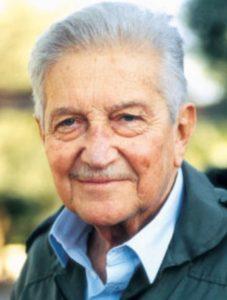 Ezer Weizman'nın Kariyeri 