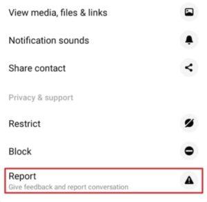 Facebook messenger mesajım yok ama var görünüyor 