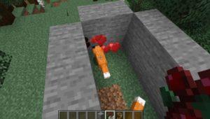 Minecraft 1.19'da tilkiler nasıl evcilleştirilir ?