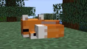 Minecraft 1.19'da tilkiler nasıl evcilleştirilir ?