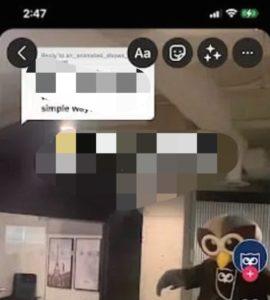 TikTok Videolarını Telif Hakkı Olmadan Instagram'da Yayınlayabilir miyim? 