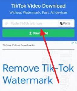 TikTok Videolarını Telif Hakkı Olmadan Instagram'da Yayınlayabilir miyim? 