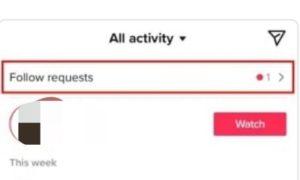 Birinin TikTok'ta Takip İsteğini Reddedip Reddetmediğini Nasıl Anlarsınız?