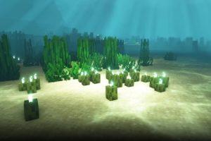 Minecraft'ta deniz turşusu nasıl yetiştirilir ve kullanılır?
