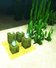 Minecraft'ta deniz turşusu nasıl yetiştirilir ve kullanılır?