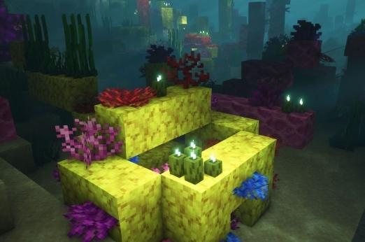 Minecraft'ta deniz turşusu nasıl yetiştirilir ve kullanılır?