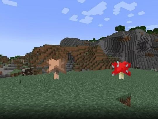 Minecraft'ta mantar nasıl ekilir ve mantar nasıl yetiştirilir ?