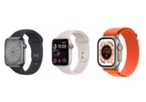 Bir Apple Watch'un Ne Kadar Depolama Alanı Vardır?