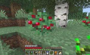 Minecraft'ta Bir Tilki Nasıl Evcilleştirilir?