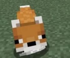 Minecraft'ta Bir Tilki Nasıl Evcilleştirilir?