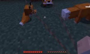 Minecraft'ta Bir Tilki Nasıl Evcilleştirilir?