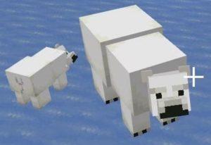 Minecraft'ta Bir Kutup Ayısı nasıl evcilleştirilir?