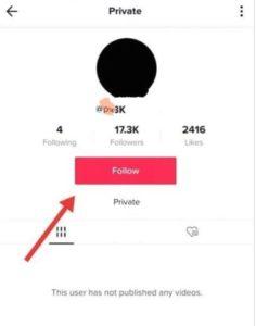 Özel TikTok Hesaplarının Takipçilerini Nasıl Görebilirim?