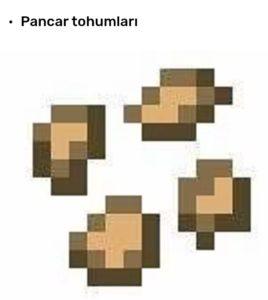 Minecraft'ta Tohumlar nasıl alınır?