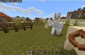 Minecraft Lama Nasıl Yetiştirilir?