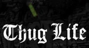 Thug Life Coin Nedir?