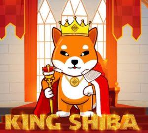 King Shiba Coin Nedir?