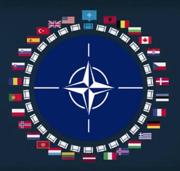 NATO nedir ne işe yarar?