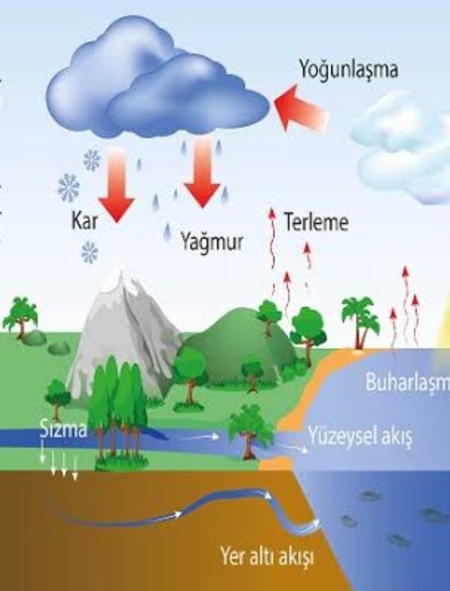 Nem Nedir?