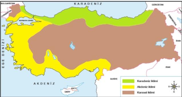 Türkiye'de İklim Tipleri Hangileridir?