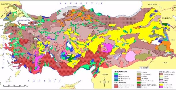 Türkiye'de Hangi Toprak Çeşitleri Bulunur?