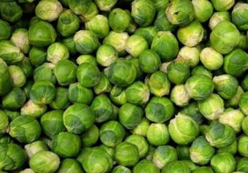 Brüksel lahanası Nedir?Ne İşe Yarar?
