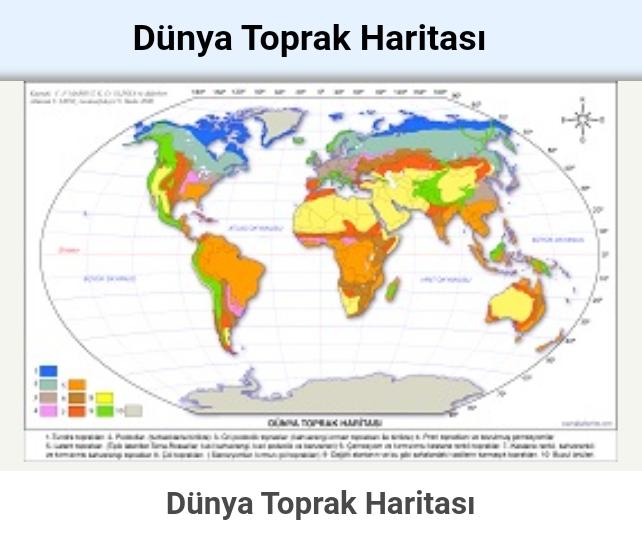 Dünyada Toprak Türleri Nelerdir?