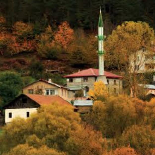 Türkiye'de Kır Yerleşmeleri Nasıldır?
