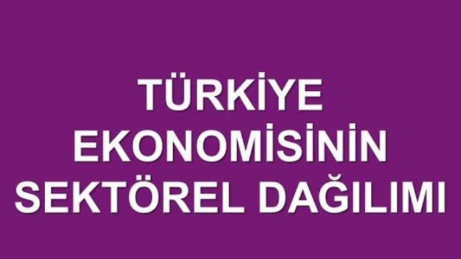 Türkiye Ekonomisinin Sektörel Dağılışı Nasıldır?