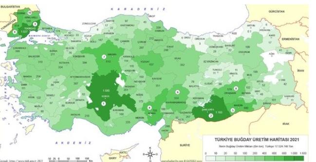 Türkiye'de tarım ve hayvancılık Nasıldır?