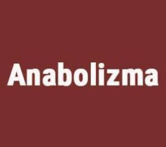 Anabolizma Nedir?