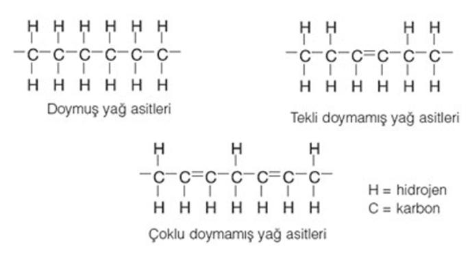 Doymuş yağ asidi nedir?